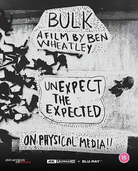 多重宇宙危机 BULK