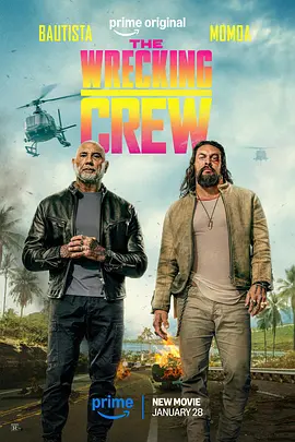 特工迷阵 The Wrecking Crew